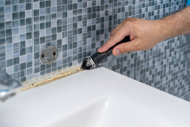 Best Office Mold Removal Services  in Pinch, WV